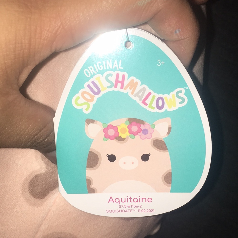 Aquitaine the Piggy Squishmallow💕🐽 - Picture 2 of 2